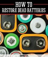 Image result for Eco Batteries 9 V