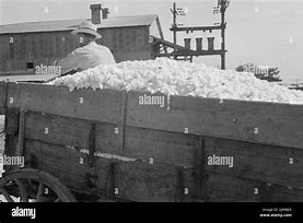 Image result for Cotton Gin Car