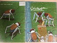 Image result for cricket magazine illustrations