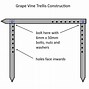 Image result for How to Build a Grape Vine Trellis