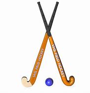 Image result for Hockey Stick