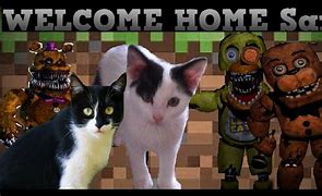 Image result for Welcome Back Sam Meme