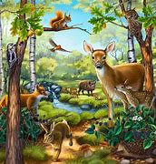 Image result for Forest Animal Paintings
