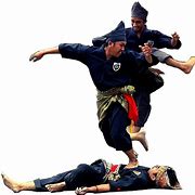 Image result for silat