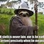 Image result for Baby Sloth Meme