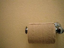 Image result for Toilet Paper Shank