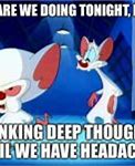 Image result for Pinky and the Brain Quotes Memes