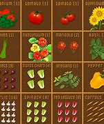 Image result for Plant Layout