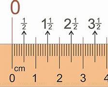 Image result for 2 Cm On a Ruler