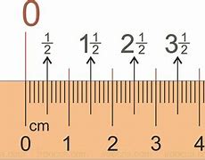 Image result for What Is 20 Cm Long