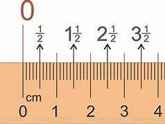 Image result for 25 Cm Ruler Comparison