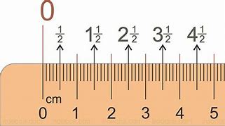 Image result for Inch Ruler