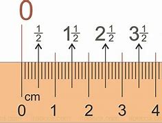 Image result for 6 mm Ruler