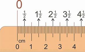 Image result for What Does 45 Cm Look Like