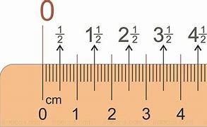 Image result for 55 Centimeters Looks Like