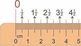 Image result for Measuring Centimeters and Inches
