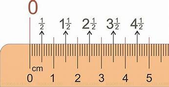 Image result for 20 Cm Scale