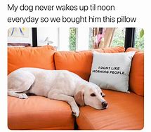 Image result for Dog Pillow Meme Side View
