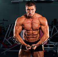 Image result for Cable Machine Workout Routines