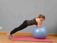 Image result for Horse Exercise