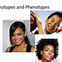 Image result for Homozygous Genotype Example