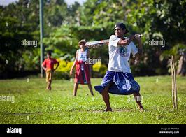 Image result for Samoan Cricket Field Dimensions