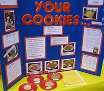Image result for Elementary School Science Project Ideas