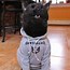 Image result for Cat Tired Hoodie