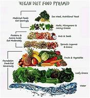 Image result for What You Can Eat as a Vegan
