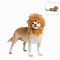 Image result for Cardi B Pet Costumes