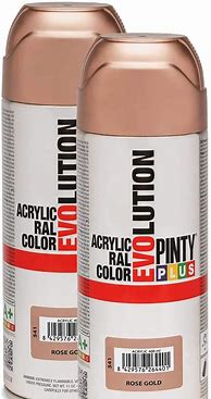 Image result for Rose Gold Spray Paint