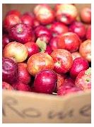 Image result for Red Apples 6