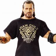 Image result for WWE Adam Cole Action Figure