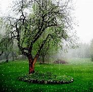 Image result for Rainy Day Screensaver