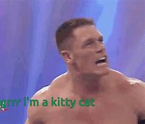 Image result for John Cena Cat GIF