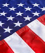 Image result for Nylon American Flag