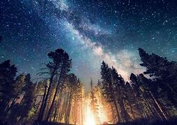 Image result for Galaxy Wallpaper with Trees