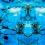 Image result for Cladia Blue Onyx Texture