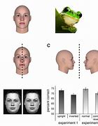 Image result for Human Frog Face