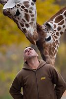 Image result for Zookeeper Giraffe