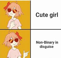 Image result for Types Enby Memes