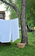 Image result for Laundry Linen and Guest Clothes