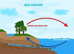 Image result for Sea Breeze Earth Science