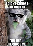 Image result for Koala Hug Meme