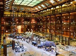 Image result for National Museum Technology Tokyo