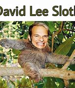 Image result for David Lee Sloth Meme
