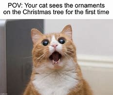 Image result for Cat Ornament Meme