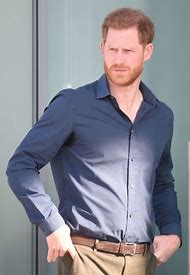 Image result for Prince Harry Tell All Book