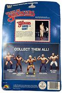 Image result for WWF Wrestling Wrestlers