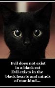 Image result for Grinning Cat Meme